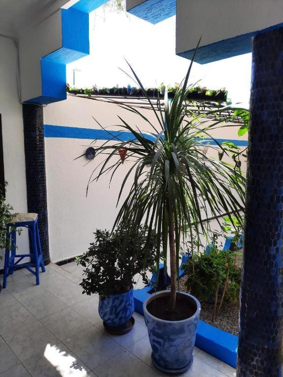 Maison D Hotes Marine Ksar Sghir Exterior foto