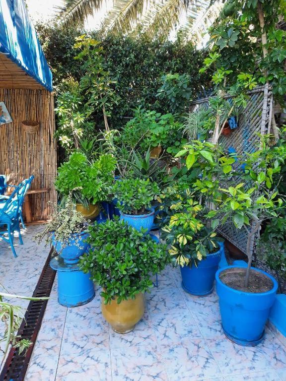 Maison D Hotes Marine Ksar Sghir Exterior foto