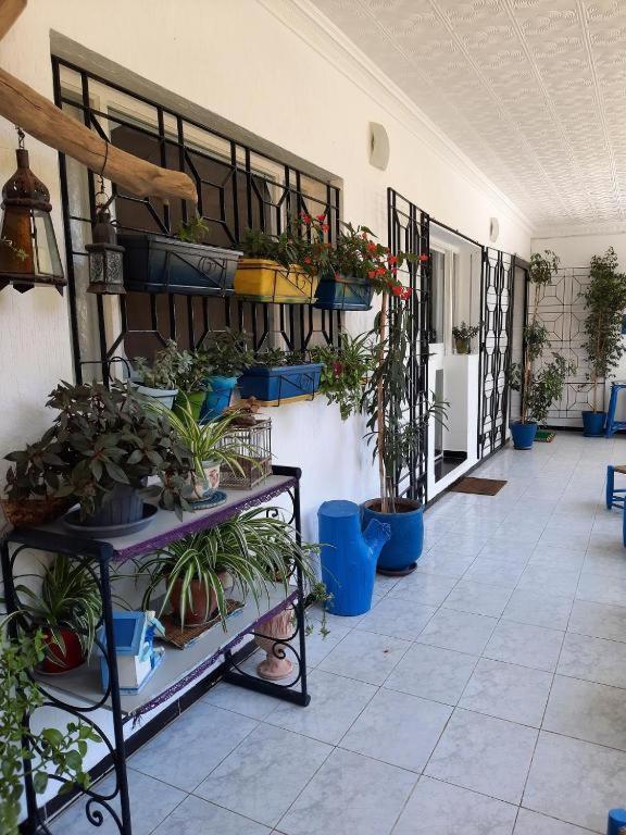 Maison D Hotes Marine Ksar Sghir Exterior foto