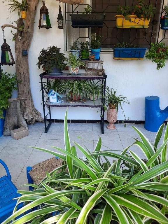 Maison D Hotes Marine Ksar Sghir Exterior foto