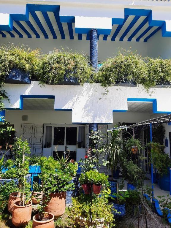 Maison D Hotes Marine Ksar Sghir Exterior foto