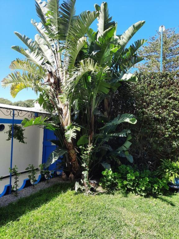 Maison D Hotes Marine Ksar Sghir Exterior foto