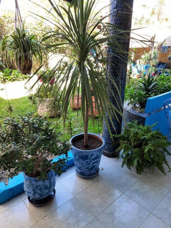 Maison D Hotes Marine Ksar Sghir Exterior foto