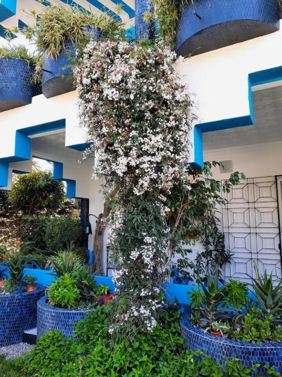 Maison D Hotes Marine Ksar Sghir Exterior foto